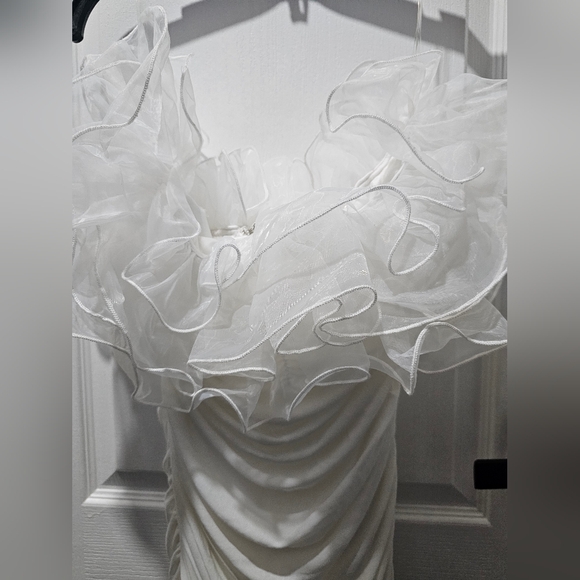 Fashion Nova - Ruffle Mami Mesh Mini Dress - Picture 7 of 9